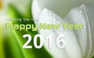 Free download happy-new-year-2016 free photo or picture to be edited with GIMP online image editor