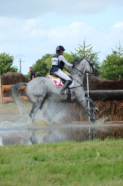 Free download haras du pin national stud stud free picture to be edited with GIMP free online image editor