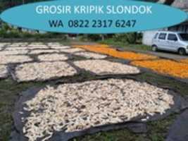 免费下载 HARGA GROSIR！ 0822 2317 6247，Harga Slondok Mentah Klaten 免费照片或图片可使用 GIMP 在线图像编辑器进行编辑