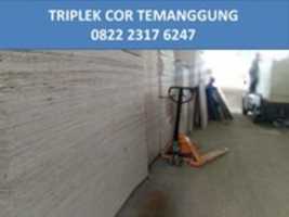 Free download HARGA Grosir 0822 2317 6247, Harga Triplek Cor 12mm  Semarang free photo or picture to be edited with GIMP online image editor