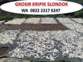 Free download HARGA GROSIR! 0822 2317 6247, Jual Slondok Mentah Klaten free photo or picture to be edited with GIMP online image editor
