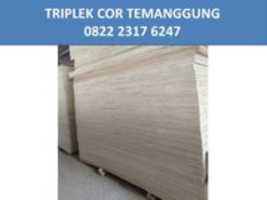 Free download HARGA Grosir 0822 2317 6247, Tebal Triplek Untuk Cor Dak  Semarang free photo or picture to be edited with GIMP online image editor