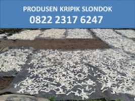 Free download Harga Slondok Per Kilo Tangerang, TLP. 0822 2317 6247 free photo or picture to be edited with GIMP online image editor