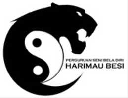 Free download Harimau Besi Baru free photo or picture to be edited with GIMP online image editor