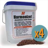 免费下载 Harmonize Bucketx 4 免费照片或图片，使用 GIMP 在线图像编辑器进行编辑