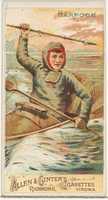 Free download Harpoon, from the Arms of All Nations series (N3) for Allen & Ginter Cigarettes Brands free photo or picture to be edited with GIMP online image editor