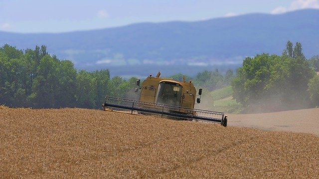 Free download harvest agriculture corn field free picture to be edited with GIMP free online image editor