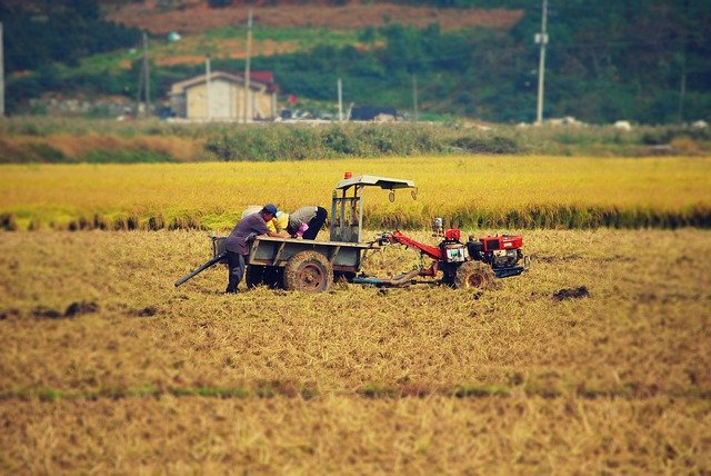 김프 무료 온라인 이미지 편집기로 편집할 수확 가을 ch 농업 경운기 무료 사진 다운로드