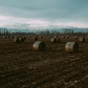 harvested pasture  screen for extension Chrome web store in OffiDocs Chromium