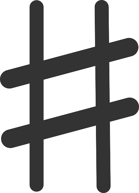 Kostenloser Download Hashtag Gate Symbol - Kostenlose Vektorgrafik auf Pixabay, kostenlose Illustration zur Bearbeitung mit GIMP, kostenloser Online-Bildeditor