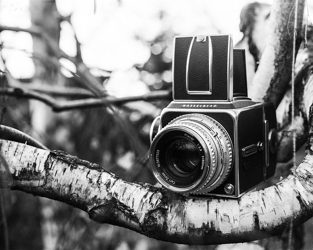 Tải xuống miễn phí ảnh phim analog máy ảnh hasselblad miễn phí được chỉnh sửa bằng trình chỉnh sửa ảnh trực tuyến miễn phí GIMP