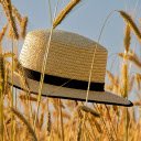 Hat in the field  screen for extension Chrome web store in OffiDocs Chromium