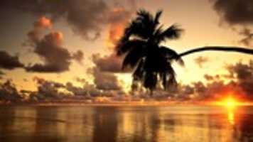 Free download Hawaii Beach Wallpaper HD free photo or picture to be edited with GIMP online image editor