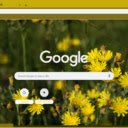 Hawkweed  screen for extension Chrome web store in OffiDocs Chromium Hawkweed  screen for extension Chrome web store in OffiDocs Chromium