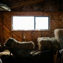 Hay Barn  screen for extension Chrome web store in OffiDocs Chromium