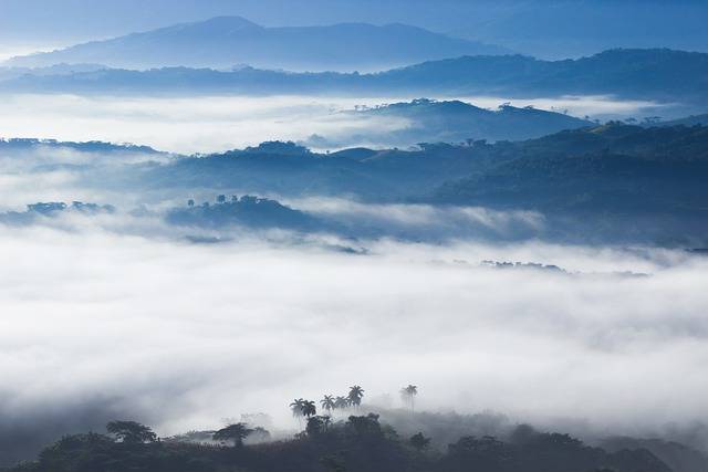 Kostenloser Download Dunst Nebel Nebel Bergwald Kostenloses Bild zur Bearbeitung mit GIMP kostenlosem Online-Bildbearbeitungsprogramm