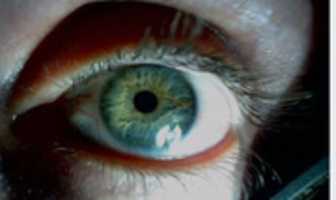 Free download Hazel Eye Of Mine free photo or picture to be edited with GIMP online image editor