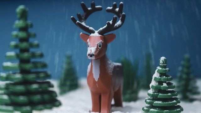 Free download hd wallpaper reindeer christmas free picture to be edited with GIMP free online image editor