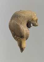 Free download Head and foreleg of a snarling lion free photo or picture to be edited with GIMP online image editor