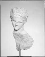 Free download Head and part of the back of a marble statue free photo or picture to be edited with GIMP online image editor