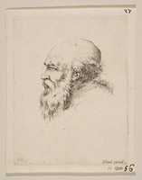 Free download Head of a Bald and Bearded Old Man in Profile free photo or picture to be edited with GIMP online image editor