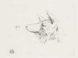 Free download Head of a Dog from New Holland free photo or picture to be edited with GIMP online image editor