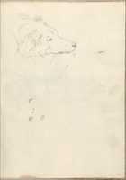 Free download Head of a Dog (Smaller Italian Sketchbook, leaf 35 recto) free photo or picture to be edited with GIMP online image editor