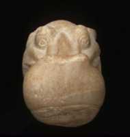 Free download Head of a Hippopotamus free photo or picture to be edited with GIMP online image editor