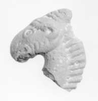 Free download Head of a Horse or Camel free photo or picture to be edited with GIMP online image editor