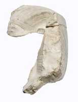 Free download Head of Akhenaten free photo or picture to be edited with GIMP online image editor