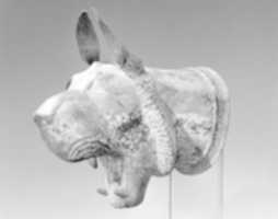 Free download Head of a lion-griffin free photo or picture to be edited with GIMP online image editor