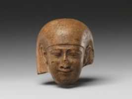 Free download Head of an Official free photo or picture to be edited with GIMP online image editor