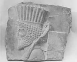 Free download Head of a Persian guard free photo or picture to be edited with GIMP online image editor