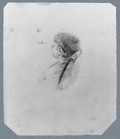 Free download Head of a Sleeping Child (from McGuire Scrapbook) free photo or picture to be edited with GIMP online image editor