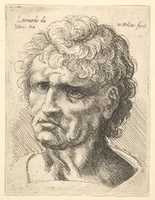 Free download Head of Man with Thick Curly Hair free photo or picture to be edited with GIMP online image editor
