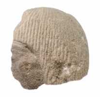 Free download Head of official from a scene free photo or picture to be edited with GIMP online image editor