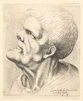 Free download Head of Old Man with Snub Nose and Prominent Chin free photo or picture to be edited with GIMP online image editor