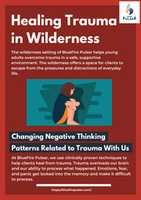Free download Healing Trauma In Wilderness free photo or picture to be edited with GIMP online image editor