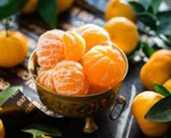 Free download Healthy Lifestyle Blogs | Healthy Habits Tips free photo or picture to be edited with GIMP online image editor
