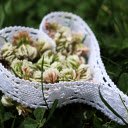 Heart flower basket  screen for extension Chrome web store in OffiDocs Chromium