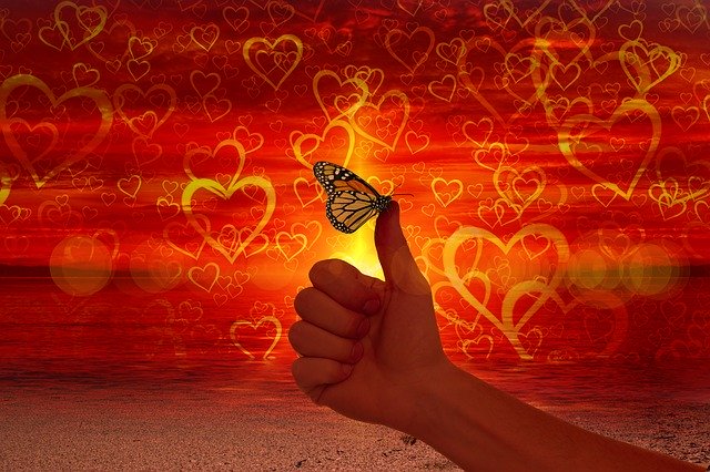 Free download heart love like thumb butterfly free picture to be edited with GIMP free online image editor