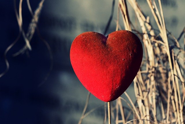 Free download heart love ornament tender free picture to be edited with GIMP free online image editor