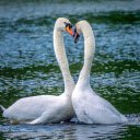 Heart mine station  screen for extension Chrome web store in OffiDocs Chromium