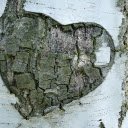 Heart shaped floating tree  screen for extension Chrome web store in OffiDocs Chromium