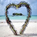 Heart shaped flower gate wallpaper  screen for extension Chrome web store in OffiDocs Chromium