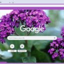 Heliotrope  screen for extension Chrome web store in OffiDocs Chromium