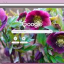 Hellebore  screen for extension Chrome web store in OffiDocs Chromium