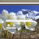 Helleborus Niger  screen for extension Chrome web store in OffiDocs Chromium