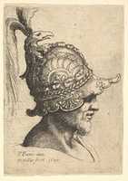 Free download Helmeted Head wtih Birds Head Crest free photo or picture to be edited with GIMP online image editor