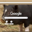 Heo  screen for extension Chrome web store in OffiDocs Chromium